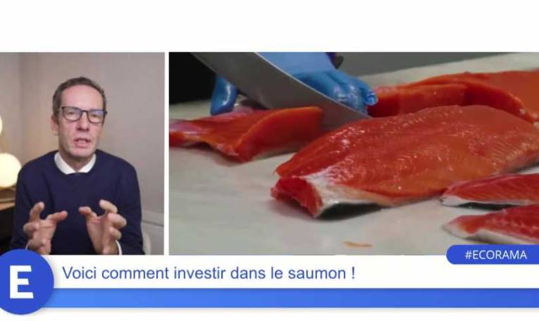 Voici comment investir dans le saumon !
