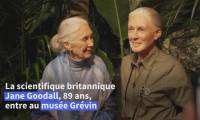 La primatologue Jane Goodall inaugure sa statue de cire au musée Grévin