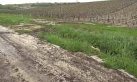 Grêle sur Chablis: des dégâts importants dans le vignoble