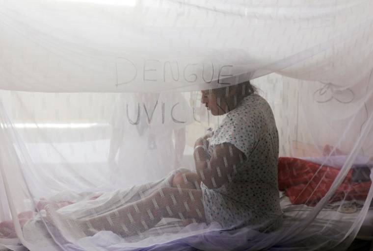 Josselyn Caqui, enceinte de quinze semaines et qui a contracté la dengue, sous une moustiquaire à l'hôpital Sergio Bernales de Lima, le  17 avril 2024 ( AFP / Juan Carlos CISNEROS )