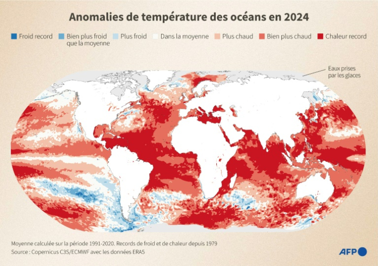 Anomalies de température des océans en 2024 ( AFP / Jonathan WALTER )