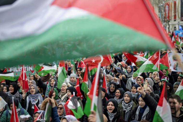 Manifestation de soutien aux Palestiniens à Istanbul, le 17 février 2024 en Turquie ( AFP / YASIN AKGUL )