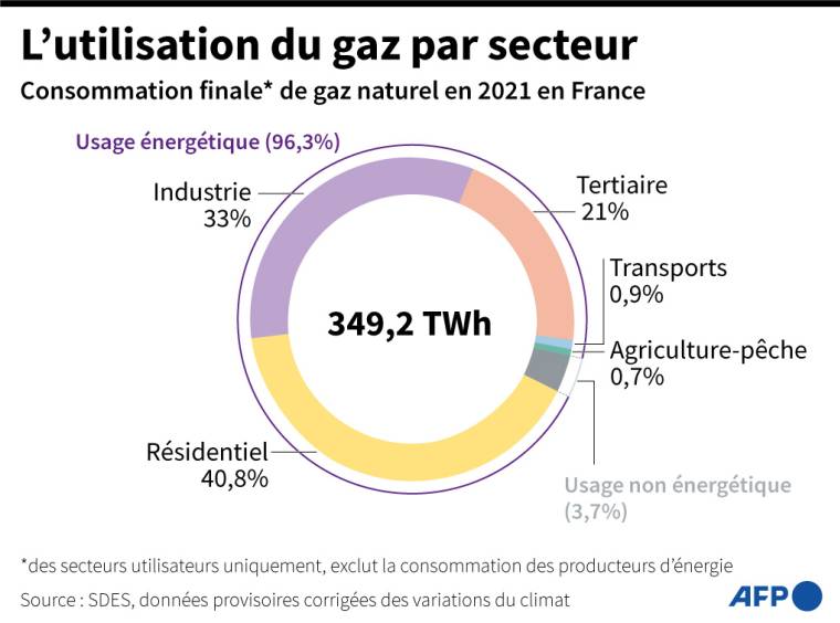 Consommation de gaz naturel par secteur en France en 2021 ( AFP /  )