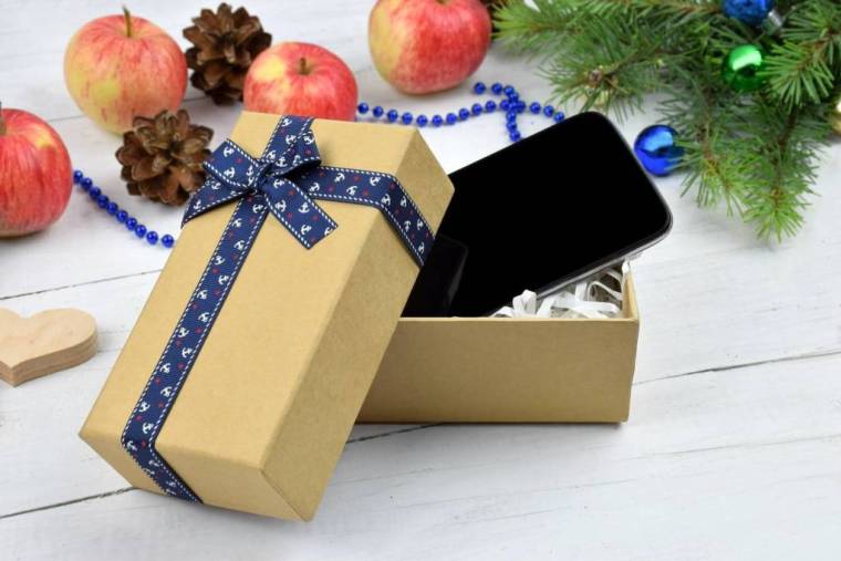 Noël 2017 : quels cadeaux connectés offrir ? / iStock.com - fotiksonya