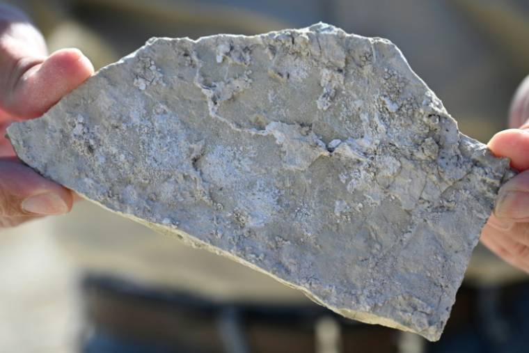 Un morceau de searlésite, une roche qui contient à la fois du lithium et du bore, deux matériaux essentiels à la transition énergétique, sur le site de Rhyolite Ridge dans le Nevada, le 8 mai 2024 ( AFP / Robyn Beck )