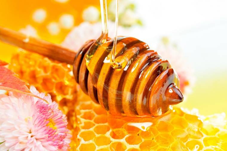 Le miel du Parc des Princes, un régal pour la bonne cause crédit photo : Getty images