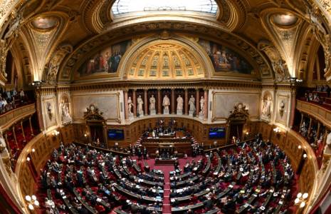 Le Sénat, le 2 avril 2024 à Paris ( AFP / Bertrand GUAY )