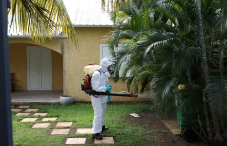 Opération de fumigation pour empêcher la prolifération des moustiques, à La Possession, le 28 avril 2020 sur l'île de La Réunion ( AFP / Richard BOUHET )