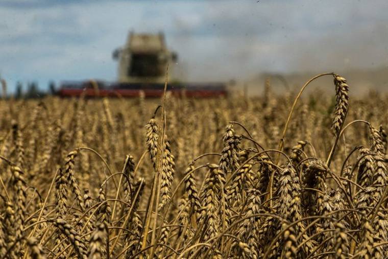 Récolte du blé dans la région de Kyiv au moment de l'attaque de la Russie contre l'Ukraine