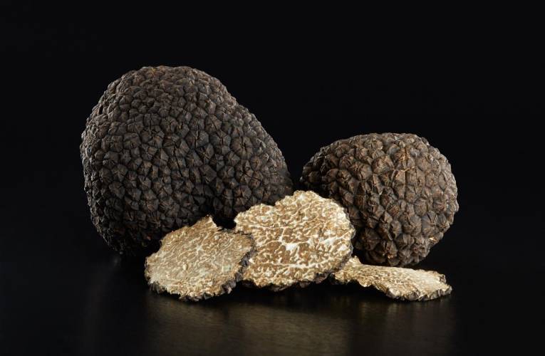 La truffe a longtemps été un mystère et on sait aujourd’hui que c’est un champignon. crédit photo : Shutterstock