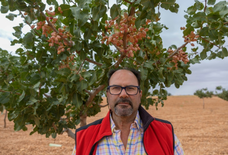 L'agriculteur espagnol Miguel Angel Garcia, le 25 septembre 2024 sur son exploitation de pistaches, à Manzanares, dans le centre de l'Espagne ( AFP / Pierre-Philippe MARCOU )