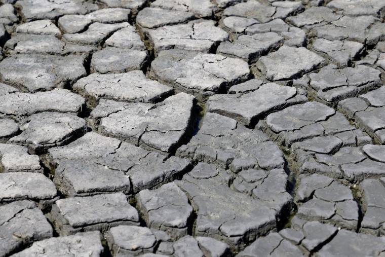 Cette année pourrait en effet dépasser les 2,12 milliards d'euros enregistrés en 2003, pire année sur le plan de la sécheresse depuis la création du régime "Catastrophes naturelles" en 1982.  ( AFP / LUDOVIC MARIN )