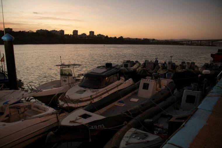 Des bateaux pneumatiques confisqués à des trafiquants de drogue par le service maritime espagnol Aduanas sont à quai à Algeciras, le 9 avril 2024 dans le sud de l'Espagne ( AFP / JORGE GUERRERO )
