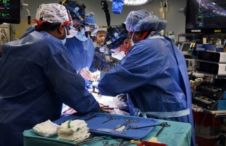 Des chirurgiens de l'école de médecine de l'université du Maryland transplantent un coeur de porc sur un patient, le 7 janvier 2022 à Baltimore ( L'école de médecine de l'université du Maryland / - )