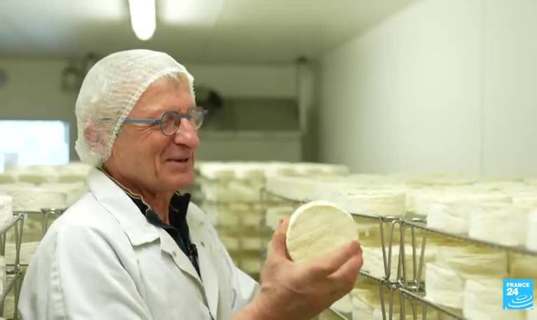 Le camembert, fromage emblématique en voie d'extinction