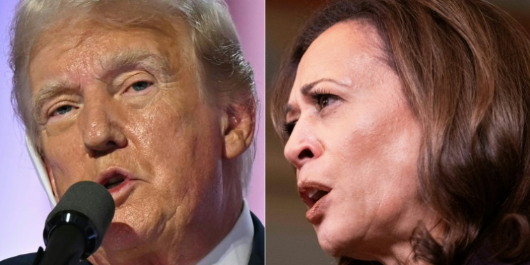 Donald Trump et Kamala Harris sont donnés au coude à coude dans certains Etats-clés ( AFP / Patrick T. Fallon )