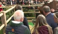 Au Salon de l'agriculture, Macron rend visite à la vache Oreillette