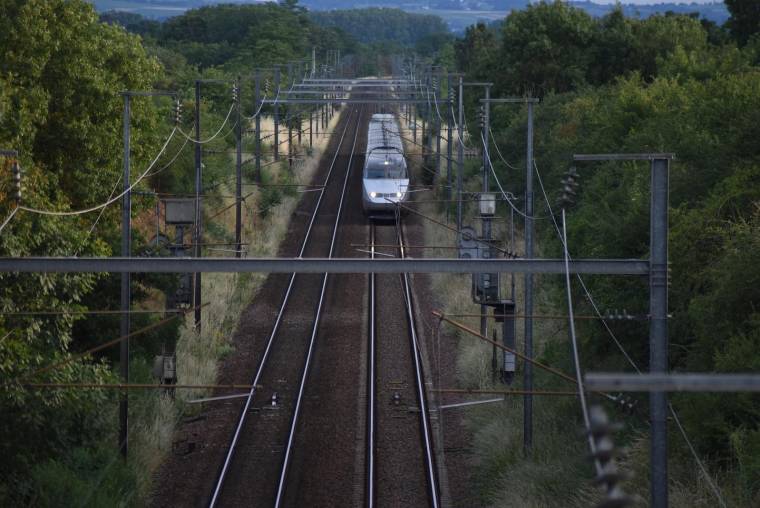 La SNCF prévoit d'ouvrir en décembre 2024 trois nouvelles lignes Ouigo lents au départ de Paris, promesse de tarifs plus bas pour les usagers. (illustration) (Mrclerisaxel / Pixabay)