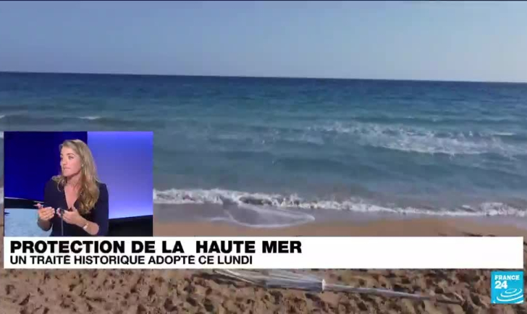 Protection de la haute mer : un traité historique adopté ce lundi 19 juin