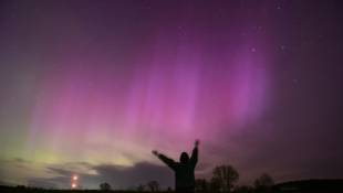 Des aurores boréales dans la région de Novosibirsk, lors d'une tempête solaire, le 12 mai 2024 en Russie ( AFP / Vladimir NIKOLAYEV )