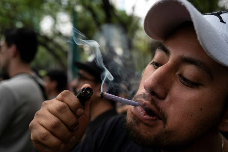 Un fumeur de marijuana allume un joint pendant une marche demandant la dépénalisation du cannabis à Mexico le 20 avril 2024 ( AFP / Yuri CORTEZ )
