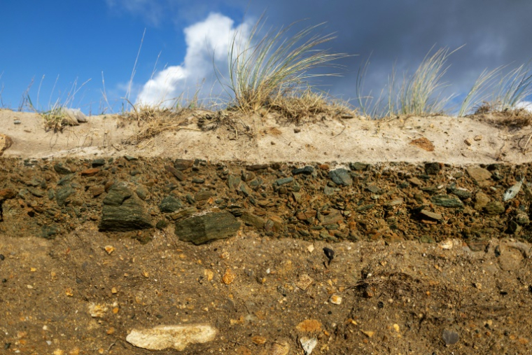 La dune érodée à Treffiagat,dans le Finistère, le 19 décembre 2024 ( AFP / FRED TANNEAU )