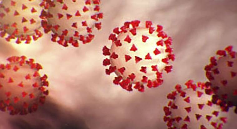 Une illustration du virus Covid-19. (© AFP PHOTO /CENTERS FOR DISEASE CONTROL AND PREVENTION(CDC)/HANDOUT)