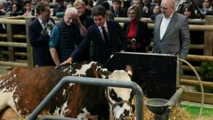 Le Premier ministre Gabriel Attal (c) rencontre l'éleveur François Foucault (g) et la vache Oreillette, égérie du 60e Salon de l'Agriculture, le 27 février 2024 à Paris ( AFP / Dimitar DILKOFF )