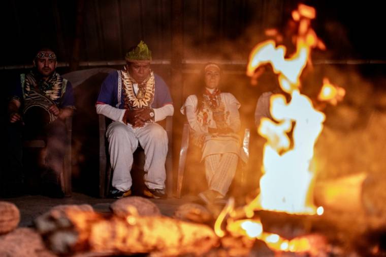 Le chaman colombien Claudino Perez (c) dirige une cérémonie de yage ou ayahuasca à La Mesa, dans le département de Cundinamarca, en Colombie, le 9 mars 2024 ( AFP / Luis ACOSTA )