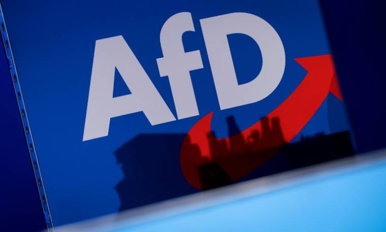 Créditée de 22% dans les enquêtes d'opinion nationales fin 2023, l'engouement pour l'AfD s'est effrité depuis le début de l'année ( AFP / Ronny Hartmann )