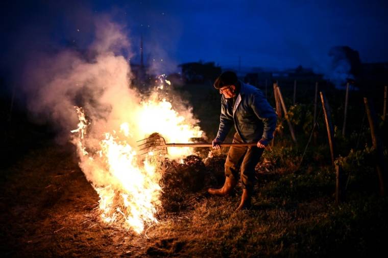 Un viticulteur pose un ballot de paille en feu pour créer de la chaleur et éviter le gel des pieds de vigne près de Saint-Emilion, le 23 avril 2024 ( AFP / Christophe ARCHAMBAULT )
