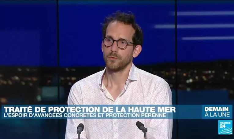 Traité de protection de la haute mer : un traité historique pour la protection de la vie marine