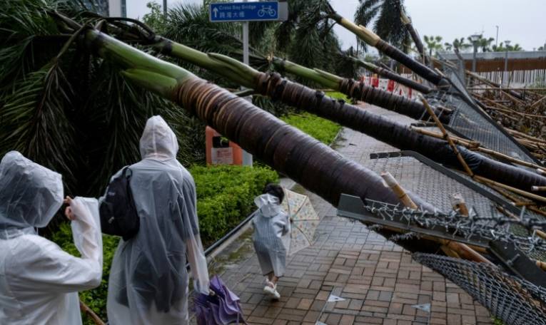 Les dégâts provoqués par le passage du typhon Saola, le 2 septembre 2023 à Hong Kong ( AFP / Alastair Pike )