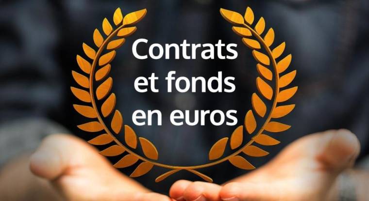 La sélection du Revenu des meilleurs fonds en euros. (© DR)