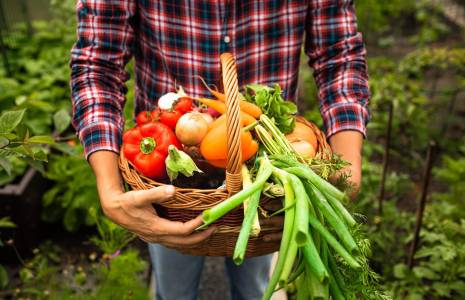 Manger bio c’est aussi manger autrement et cela permet de consommer certains produits moins coûteux ( crédit photo : Shutterstock )