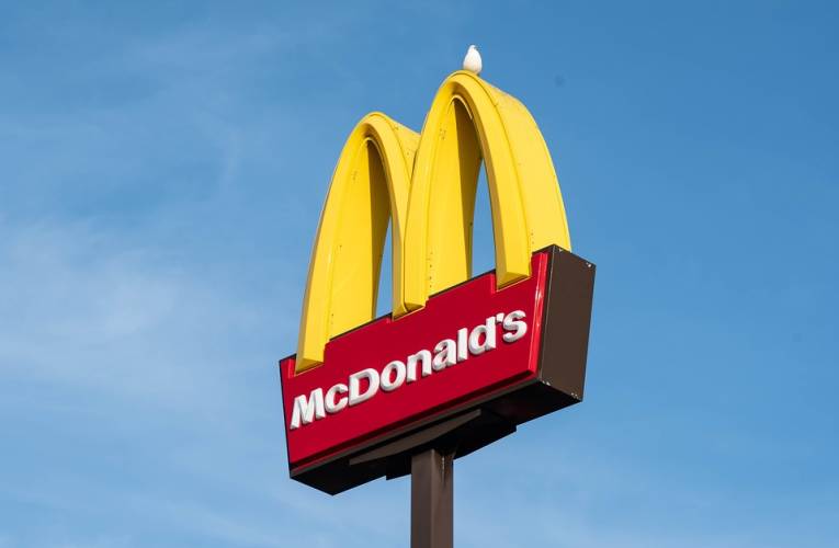 McDonald's va proposer en France des produits commercialisés dans d'autres pays pendant les JO. (illustration) (KELVINSTUTTARD / PIXABAY)