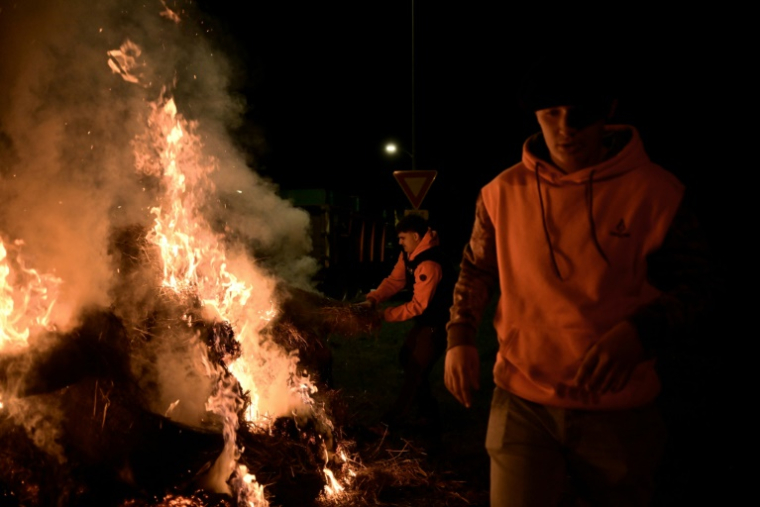 Des agriculteurs membres de la "Coordination Rurale" (CR) pendant le blocage du port de commerce de Bordeaux, le 20 novembre 2024 ( AFP / Philippe LOPEZ )