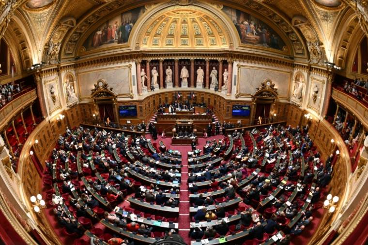 Une vue d'une séance au Sénat à Paris, le 2 avril 2024 ( AFP / Bertrand GUAY )