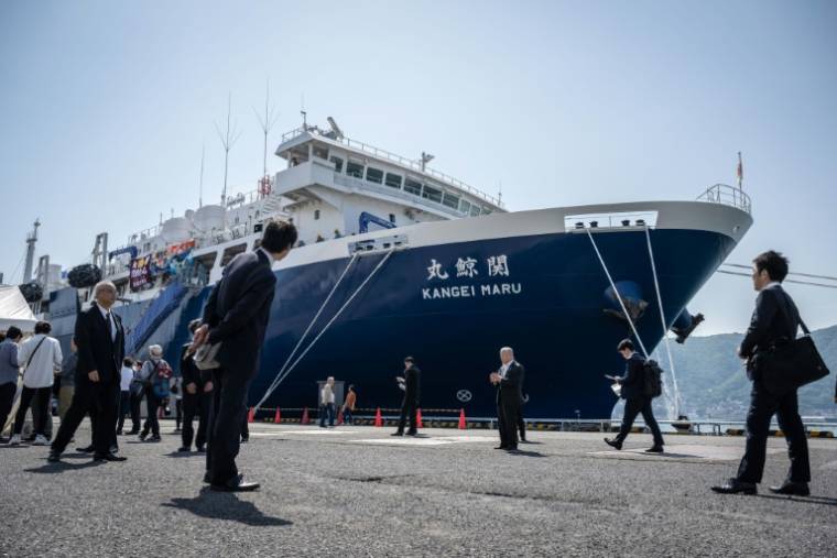 Le nouveau baleinier japonais Kangei Maru, le 21 mai 2024 à Shimonoseki, au Japon ( AFP / Yuichi YAMAZAKI )