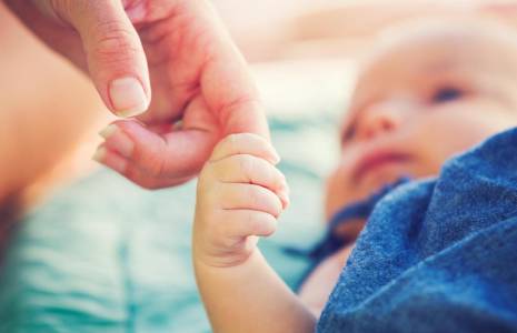 Plusieurs démarches administratives doivent être réalisées à la naissance de votre enfant crédit photo : EpicStockMedia/Shutterstock / EpicStockMedia