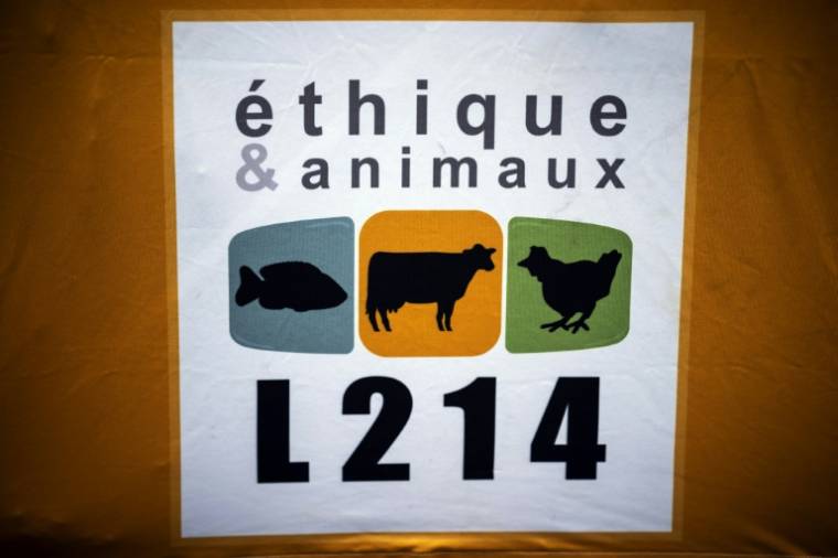 The agri-food group LDC (Le Gaulois) summons the animal rights association L214 for interim relief (AFP / Lionel BONAVENTURE)