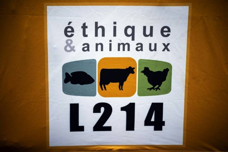 L'association de défense des animaux L214 a demandé l'interdiction de l'abattage sans étourdissement, rituel visant à produire de la viande halal ou casher ( AFP / Lionel BONAVENTURE )