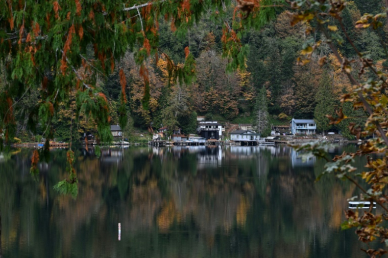 Des maisons au bord du lac Sutherland, le 15 octobre 2024 à Maple Grove, dans le comté de Clallam de l'Etat de Washington ( AFP / Robyn Beck )