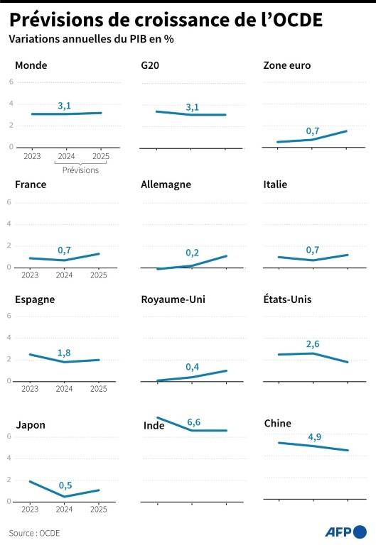 Prévisions de croissance de l'OCDE pour le monde et pour une sélection de pays  ( AFP / Gal ROMA )