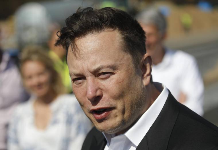 Elon Musk, le 3 septembre 2020, en Allemagne  ( AFP / Odd ANDERSEN )