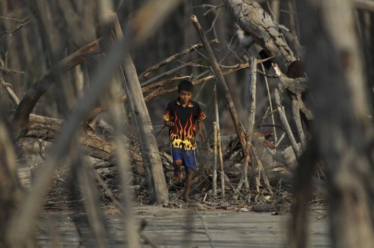 Un enfant marche parmi des arbres morts dans la petite communauté de La Tirana